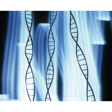 Refraction from a Prism