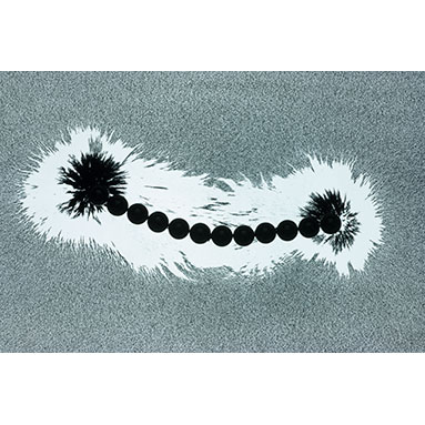 Refraction from a Prism