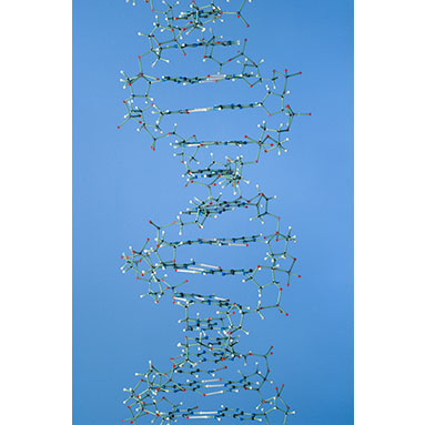 Refraction from a Prism